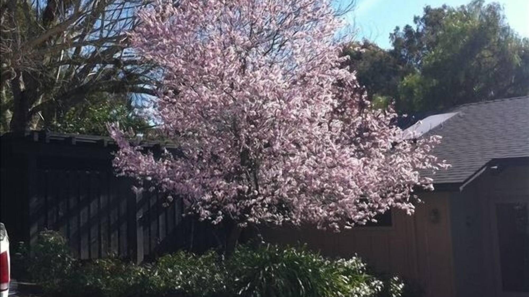 Guest cottage entrance