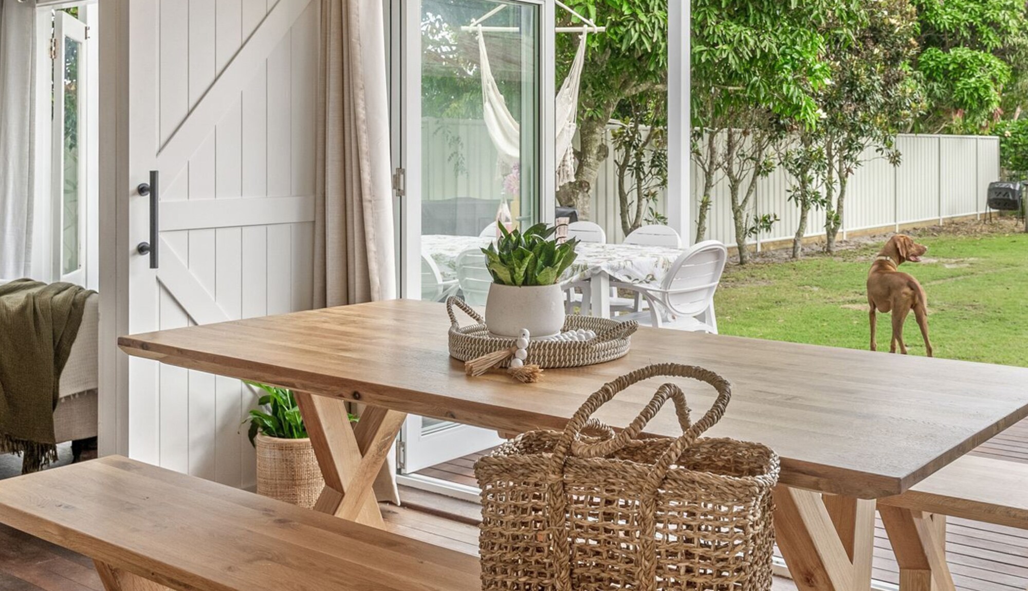 Book a pet-friendly stay